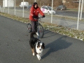 p1090685_dogscooting