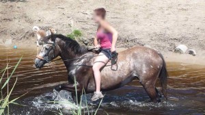 … dieses Pferd "planschte" im Wasser …