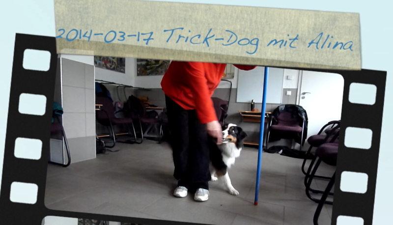 Trick-Dog in der Hundeschule