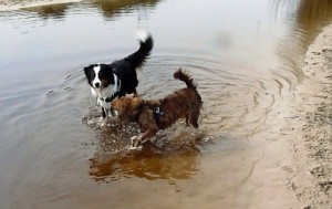 … ich tolle mit Bruno im Wasser …