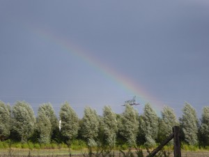 … ein schöner Regenbogen …