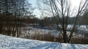 … Blick auf den zugefrorenen Teich im Park … (25.01.)