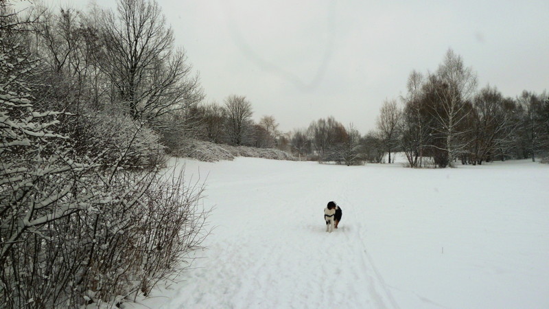 19. & 20.03. … Viel Schnee – mit der Frisbee im Park